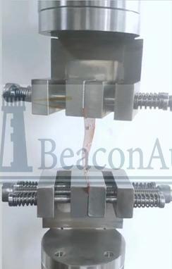 椎體切除模型拉壓試驗機(jī)